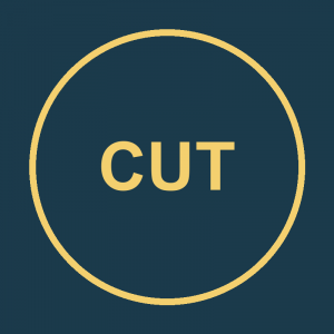 Monthly Budget Audit channel logo